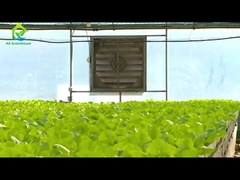 گلخانه تونل فیلم پلاستیکی ضد UV برای سیستم هیدروپونیک