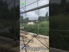 پروژه گلخانه بادوام در موریس