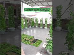 برج های رشد هیدروپونیک گلبرگ باغبانی داخلی کشاورزی