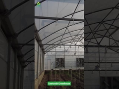 گلخانه ی فیلم پلاستیکی گرمسیری طراحی Sawtooth