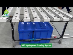 سیستم لوله کشی مربعی NFT هیدروپونیک کشت بدون خاک کشاورزی عمودی