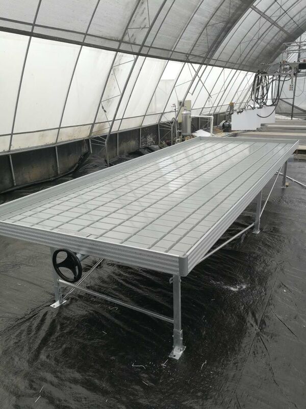 گلخانه Ebb Flow Seedling Rolling Bench Grow Tables برای رشد انواع مختلف گیاهان