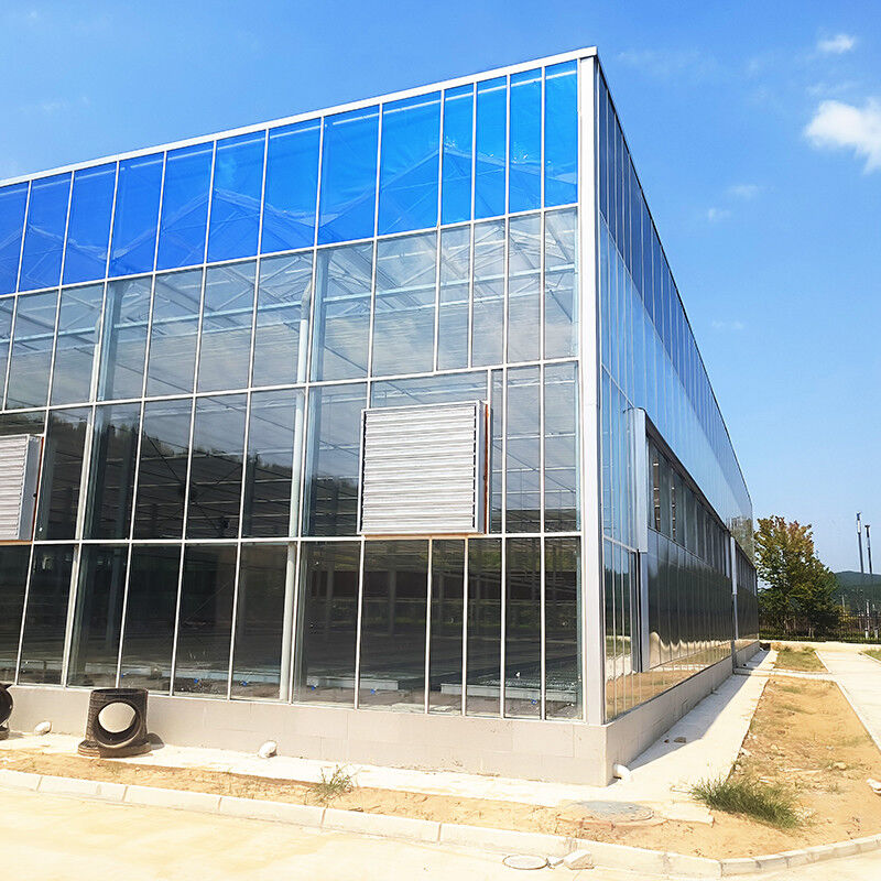 سیستم کنترل هوشمند گلخانه ای پایدار برای سبزیجات 9.6m/10.8m/12m عرض