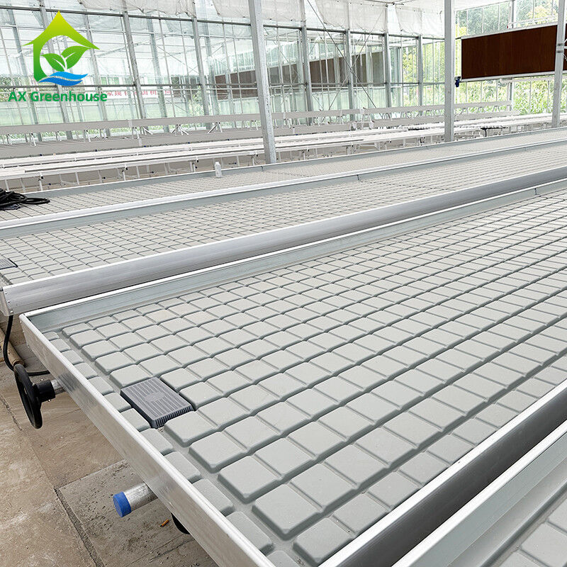 گلخانه کشت هیدروپونیک بدون خاک Ebb Flood Grow Table Seedbed Rolling Bench برای کاهو