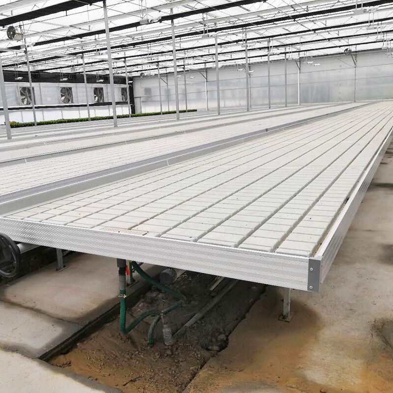 گلخانه کشت هیدروپونیک بدون خاک Ebb Flood Grow Table Seedbed Rolling Bench برای کاهو