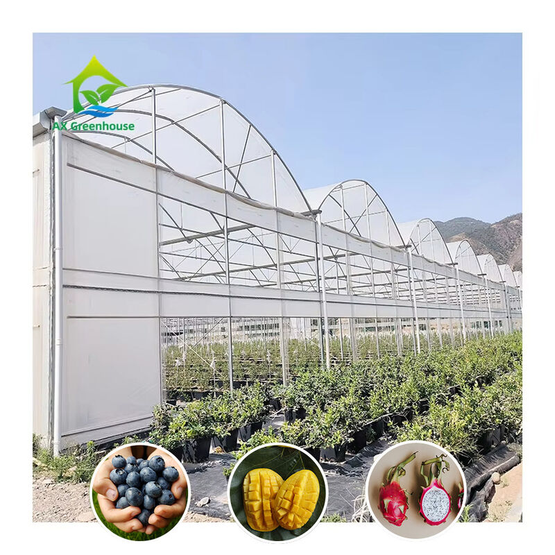 گلخانه های بلندمدت چند منظره ای استیل سنگین مقاوم در برابر باد و برف مزارع تجاری مزارع زراعت