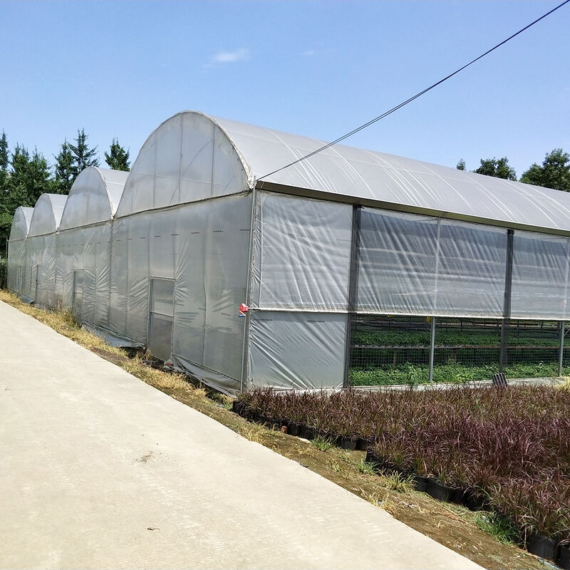 گلخانه های بلندمدت چند منظره ای استیل سنگین مقاوم در برابر باد و برف مزارع تجاری مزارع زراعت