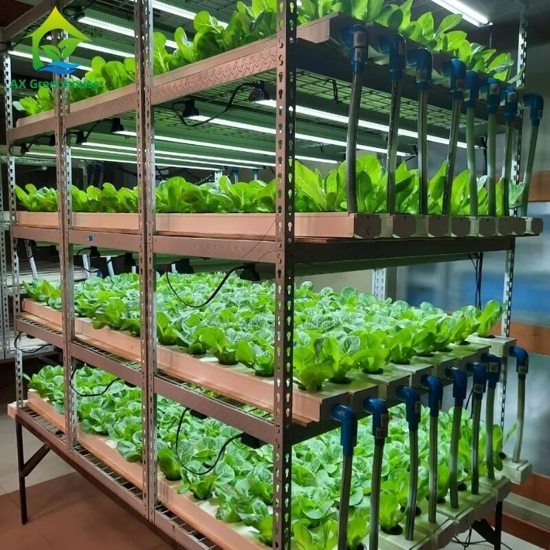 سیستم هیدروپونیک عمودی چند لایه خودکار NFT با نورپردازی LED یکپارچه برای کشت بدون خاک