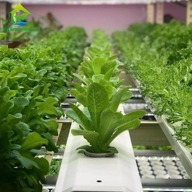 سیستم هیدروپونیک عمودی چند لایه خودکار NFT با نورپردازی LED یکپارچه برای کشت بدون خاک