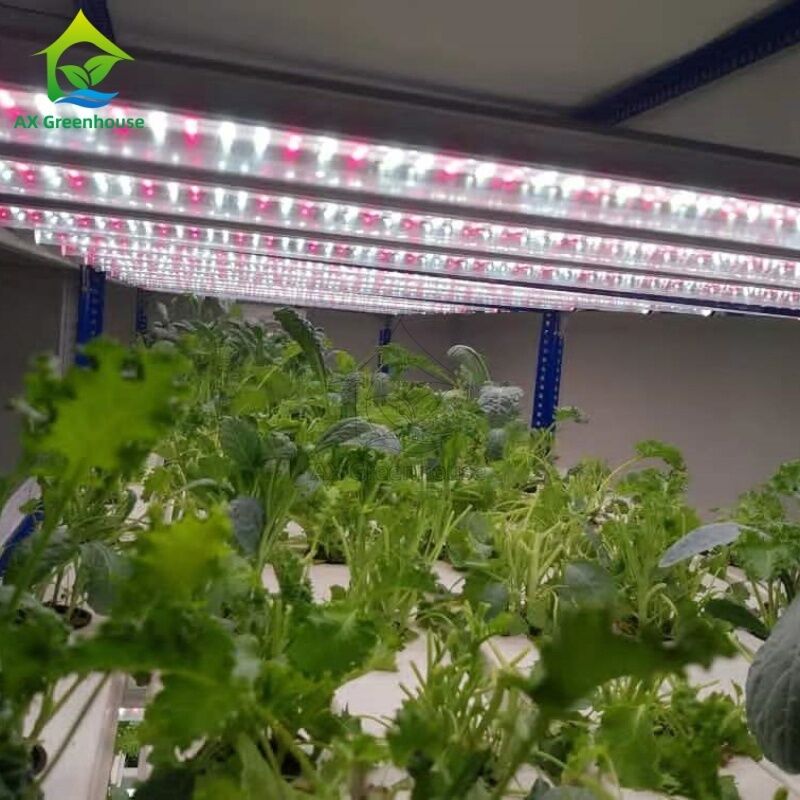 سیستم هیدروپونیک عمودی چند لایه خودکار NFT با نورپردازی LED یکپارچه برای کشت بدون خاک