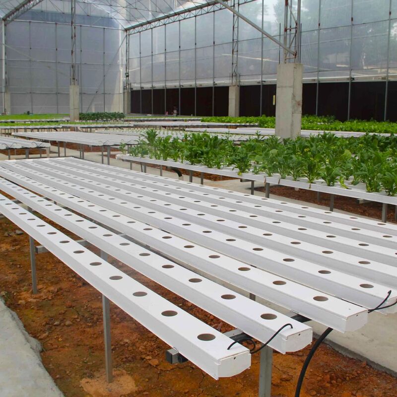 سیستم گلی هیدروپونیک NFT PVC درجه غذایی با مهار کننده های UV و ابعاد قابل تنظیم برای گلخانه های تجاری